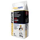 Argamassa Colante ACIII para Sobreposição 20kg Massaforte