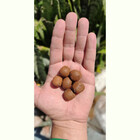 Argila Expandida 25 Litros - 10kg Decoração De Jardim Paisagi