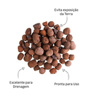 Argila Expandida 5Kg