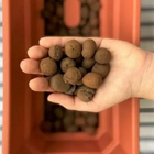 Argila Expandida Decoração Vaso Jardim 2215 - Saco 18kg