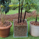 Argila Expandida Decoração Vaso Jardim 2215 - Saco 18kg