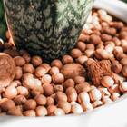 Argila Expandida Média (10kg) Vitaplan