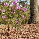 Argila Expandida Média (10kg) Vitaplan