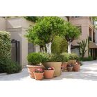 Argila Expandida Para Jardinagem e Decoração CPC Garden 10 Li