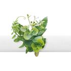 Argola Para Guardanapo Copa Cia Juliet Petit Folha Eucalipto