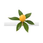 Argola Para Guardanapo Copa Cia Juliet Petit Siciliano