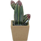 Áridos Adorno Decorativo 22x10x12cm Cerâmica Verde Cacto