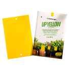 ARMADILHA ADESIVA UP YELLOW MINI