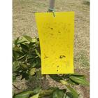 Armadilha Adesiva Yellow Trap Insetos Voadores 5 Unidades
