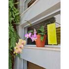 Armadilha Adesiva Yellow Trap Insetos Voadores 5 Unidades