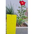 Armadilha Adesiva Yellow Trap Insetos Voadores 5 Unidades