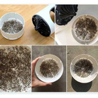 Armadilha Mata Mosquito Led Uv Mosquiteiro Zika Dengue Eletro