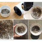 Armadilha Sucçao Mata Mosquito Led Uv Repelente Eletrico Luz