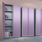 Armário 2 Portas 4 Prateleiras Aço Com Chave Para Escritório