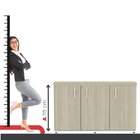 Armário 3 Portas Pivotante Credenza Branco/castanheira