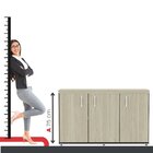 Armário 3 Portas Pivotante Credenza Castanheira/preto