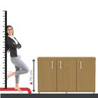 Armário 3 Portas Pivotante Credenza Samba