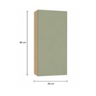 Armrio 1 Porta 40x80x32cm Madeira Domus Carvalho UV e Verde Luciane