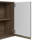 Armário Aéreo 1 Porta Kali Premium 40cm - Nicioli