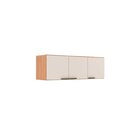 Armário Aéreo 3 Portas Iara 120cm X 42cm 28cm Freijó/off White