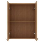 Armário Aéreo 60cm X 80cm X 31,8cm Com 2 Portas Freijó