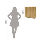 Armário Aéreo Cozinha 60 Cm 1 Porta 6123.13 Castani - Indekes