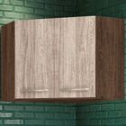 Armário Aéreo Cozinha Canto Oblíquo 74,8 Cm Loá 2 Portas Amên