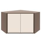 Armário Aéreo De Canto Suspenso Parede Multiuso Cozinha 2 Por