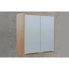 Armário Aéreo Organizador Suspenso Cozinha 2 Portas 2 Pratele