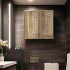 Armário Aéreo Para Banheiro Com Vidro Reflecta 2 Portas Carva