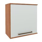 Armário Aéreo Para Cozinha 1 Porta Evolution Plus Freijó/ Off