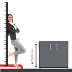 Armário Alto 02 Portas Pivotante 79,20cm X 73,50cm X 41,0cm P