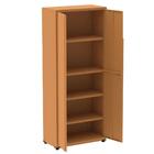 Armário Alto 2 Portas Pandin 80 Cm (largura) Inmetro Estrutur