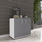 Armário Baixo 02 Portas Pivotante Ab700p25 Branco/grafito