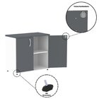 Armário Baixo 02 Portas Pivotante Ab700p25 Branco/grafito