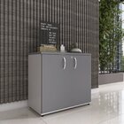 Armário Baixo 02 Portas Pivotante Ab700p25 Cinza/grafito