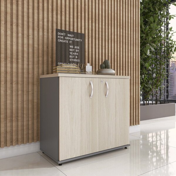 Armário Baixo 02 Portas Pivotante Ab700p25 Grafito/nogueira C