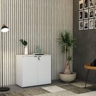 Armário Baixo Com 2 Portas 75ccm X 80cm X 42cm Branco