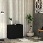 Armário Baixo Com 2 Portas 75x80x42cm Preto Onix