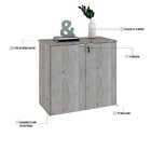 Armário Baixo Com 2 Portas 75x80x42cm Snow/branco