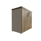 Armário Baixo Com 2 Portas Para Escritório / Home Office Bran