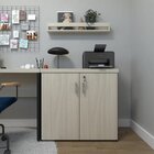 Armário Baixo Com 2 Portas Para Escritório / Home Office Pret