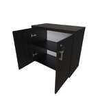 Armário Baixo Com 2 Portas Para Escritório Preto