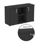 Armário Baixo Com Nicho 2 Portas Pivotante Credenza Preto
