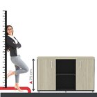 Armário Baixo Com Nicho 2 Portas Pivotante Credenza Preto/cas