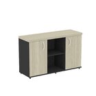 Armário Baixo Com Nicho 2 Portas Pivotante Credenza Preto/cas