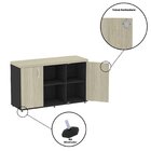 Armário Baixo Com Nicho 2 Portas Pivotante Credenza Preto/cas