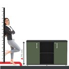 Armário Baixo Com Nicho 2 Portas Pivotante Credenza Preto/sal