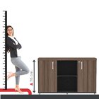 Armário Baixo Com Nicho 2 Portas Pivotante Credenza Preto/wal