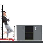 Armário Baixo Com Nicho 2 Portas Pivotante Credenza Salvia/gr